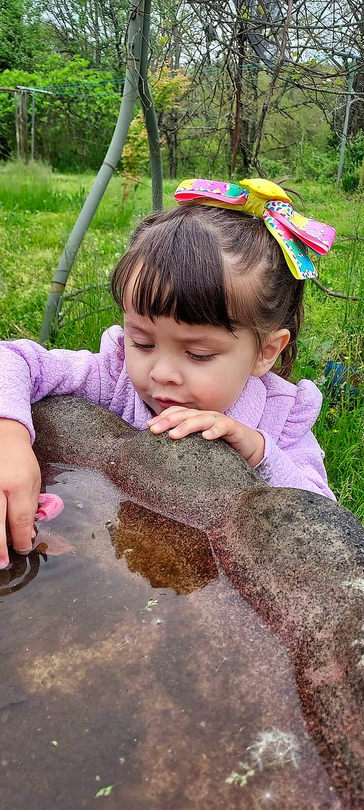 Leslie is registered to the contest to win money with this photo: baby_toddler_clothing, botany, child, eyelash, fashion_accessory, fish, fun, grass, hand, happy, leisure, people_in_nature, person, pink, plant, play, seafood, skin, soil, thumb