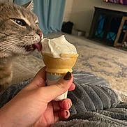 Elizabeth joined the competition — help win amazing prizes! cat, ice_cream, hand, blanket, living_room, soft_serve, cone, furniture, curious, pet, indoor, television, cabinet, carpet, nail_polish, person, licking, cozy, home, relaxation