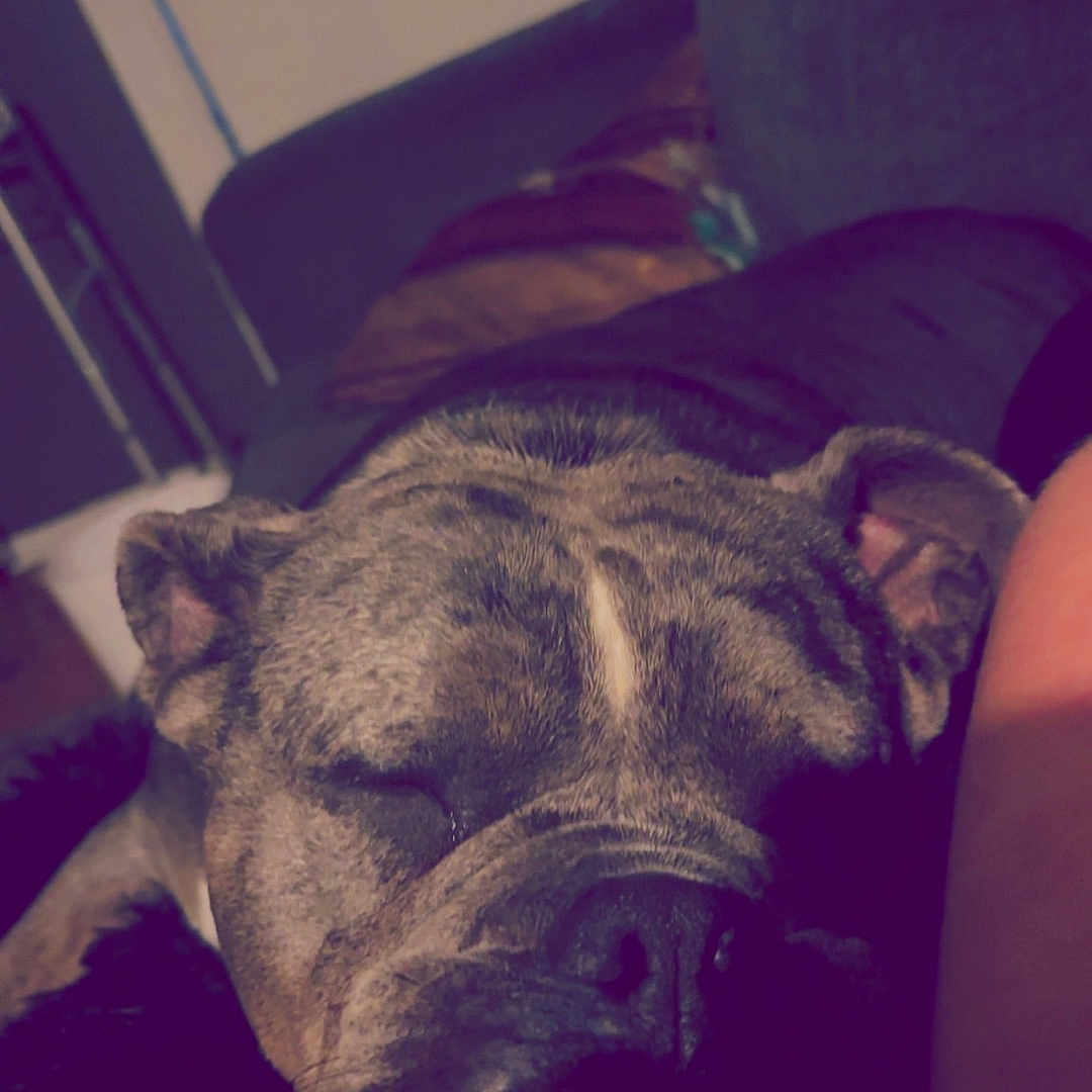 Babygirl