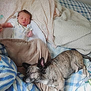 Karson is registered to the contest to win money with this photo: baby, newborn, blanket, bed, dog, sleeping, cozy, indoor, resting, fur, animal, person, comfort, plush, pattern, striped, soft, cute, peaceful, relaxation