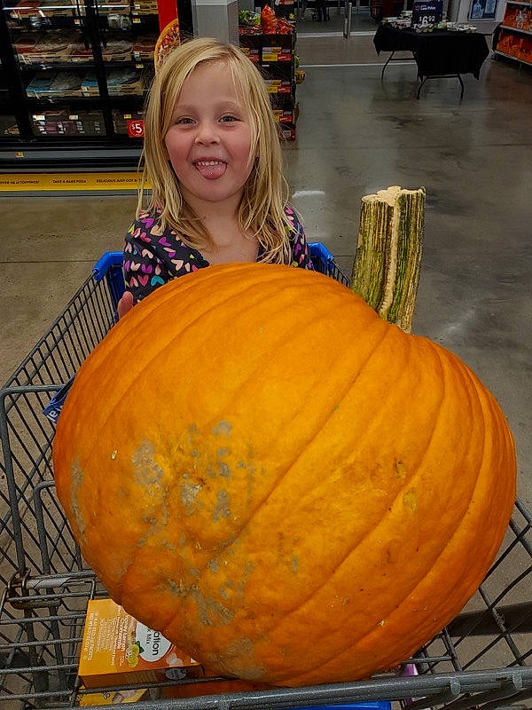 Ali is registered to the contest to win money with this photo: _and_melon_family, _gourd, calabaza, carving, cucumber, cucurbita, food, fruit, gourd, joy, local_food, person, plant, produce, pumpkin, squash, vegetable, vegetarian_food, winter_squash