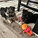 Xena And Abby