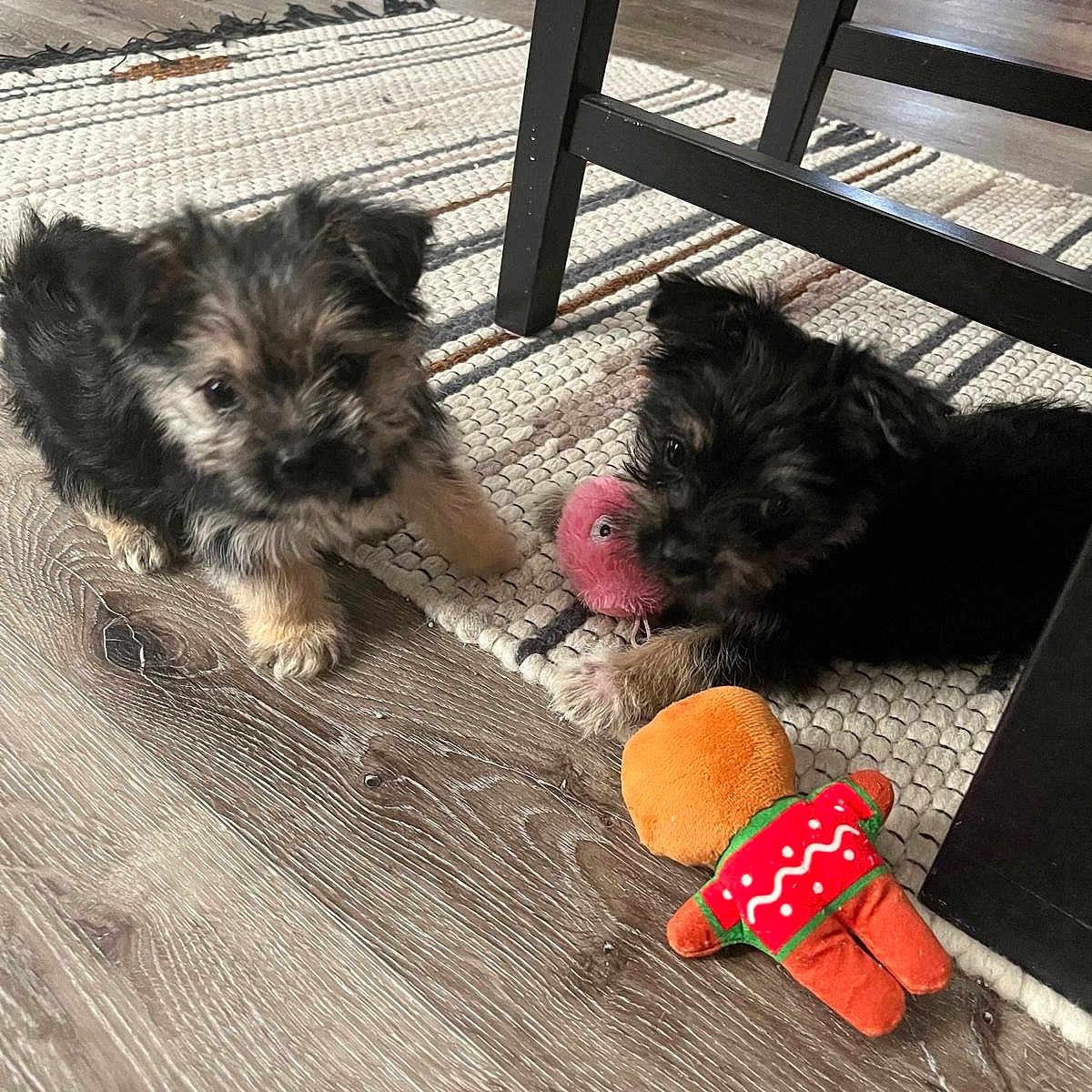 Xena And Abby