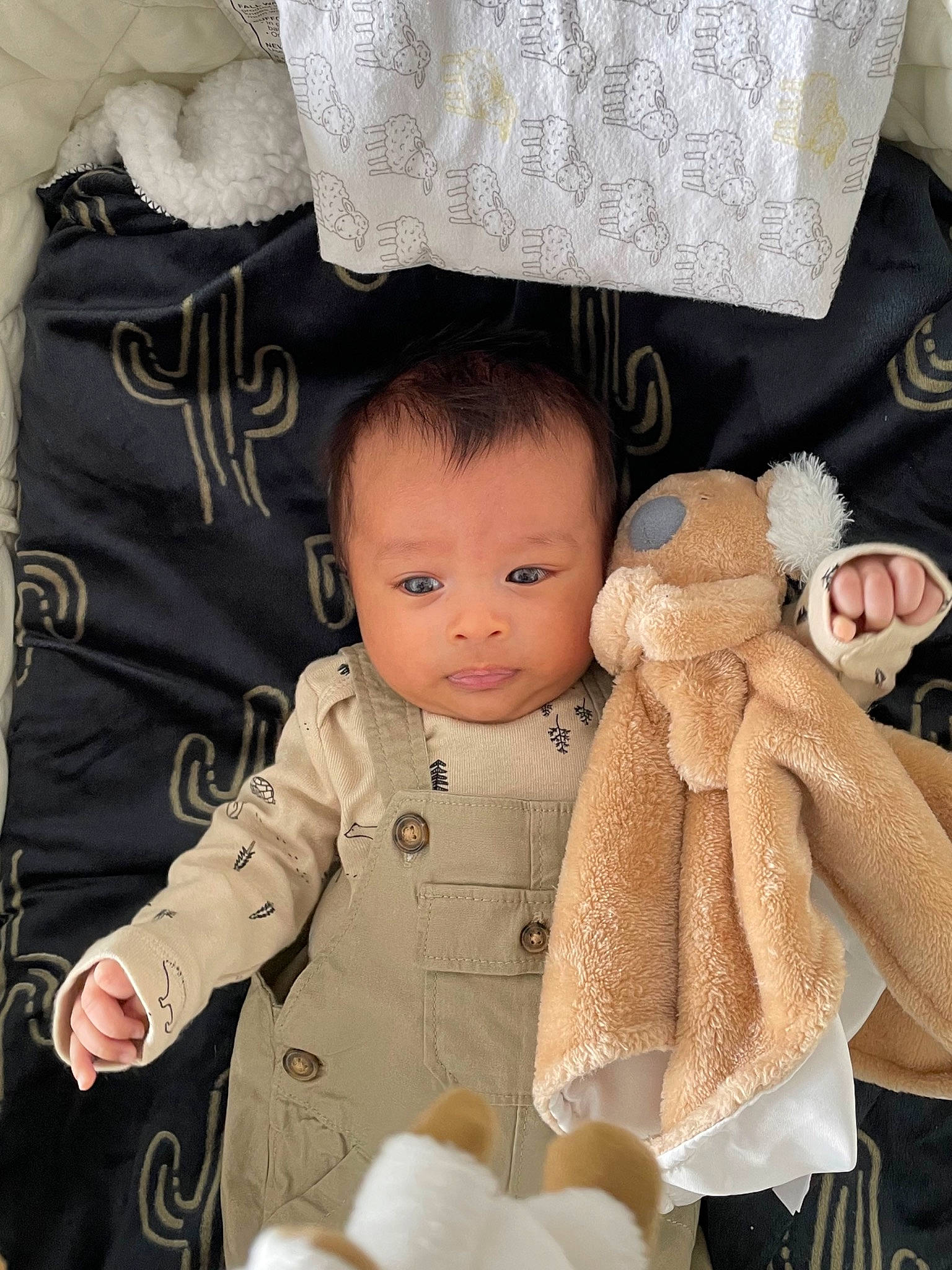 Noah is registered to the contest to win money with this photo: baby, baby_toddler_clothing, beige, cheek, child, comfort, doll, fur, happy, head, human_body, linens, pattern, person, photograph, skin, sleeve, textile, toddler, toy