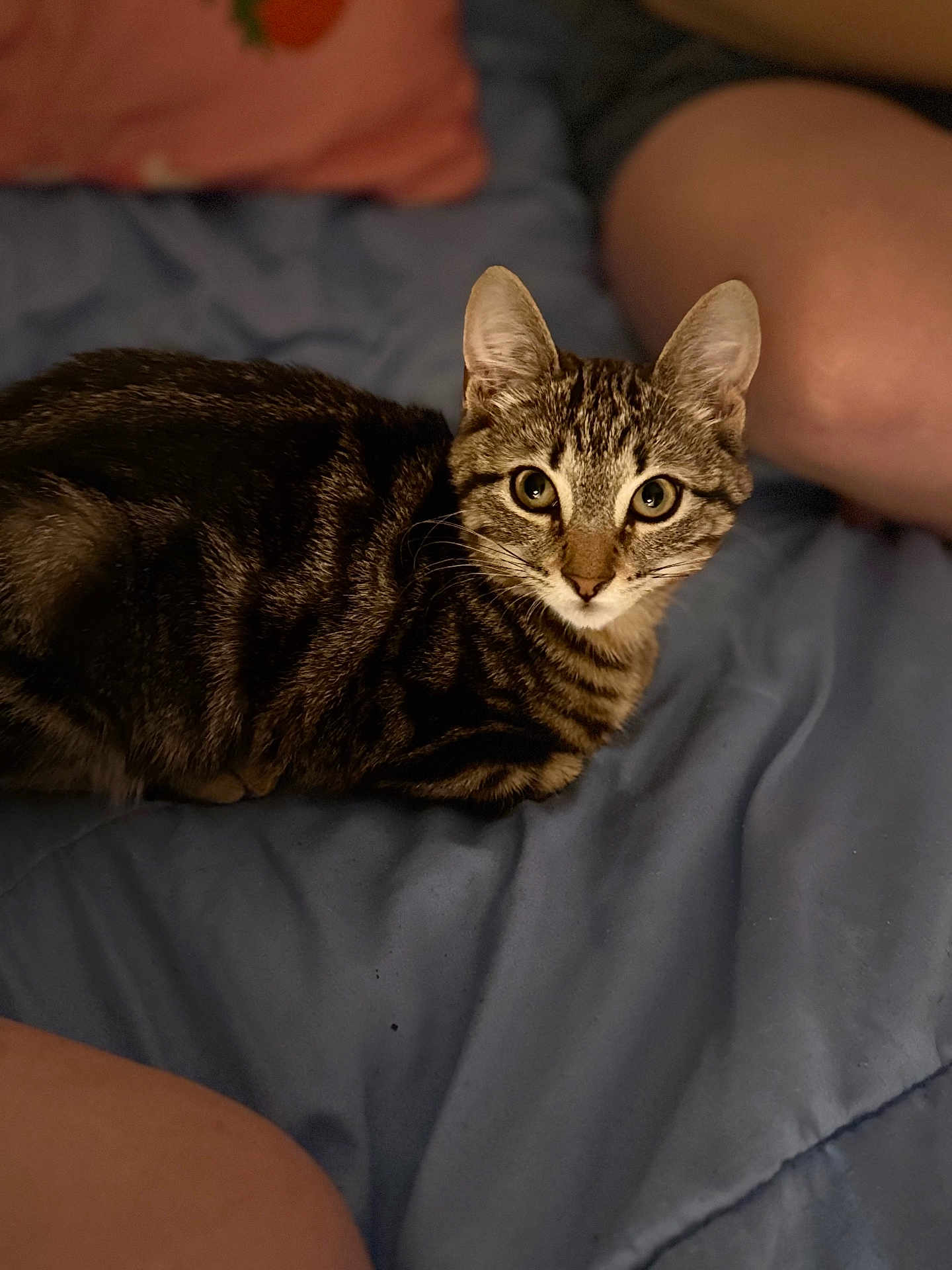 Oscar