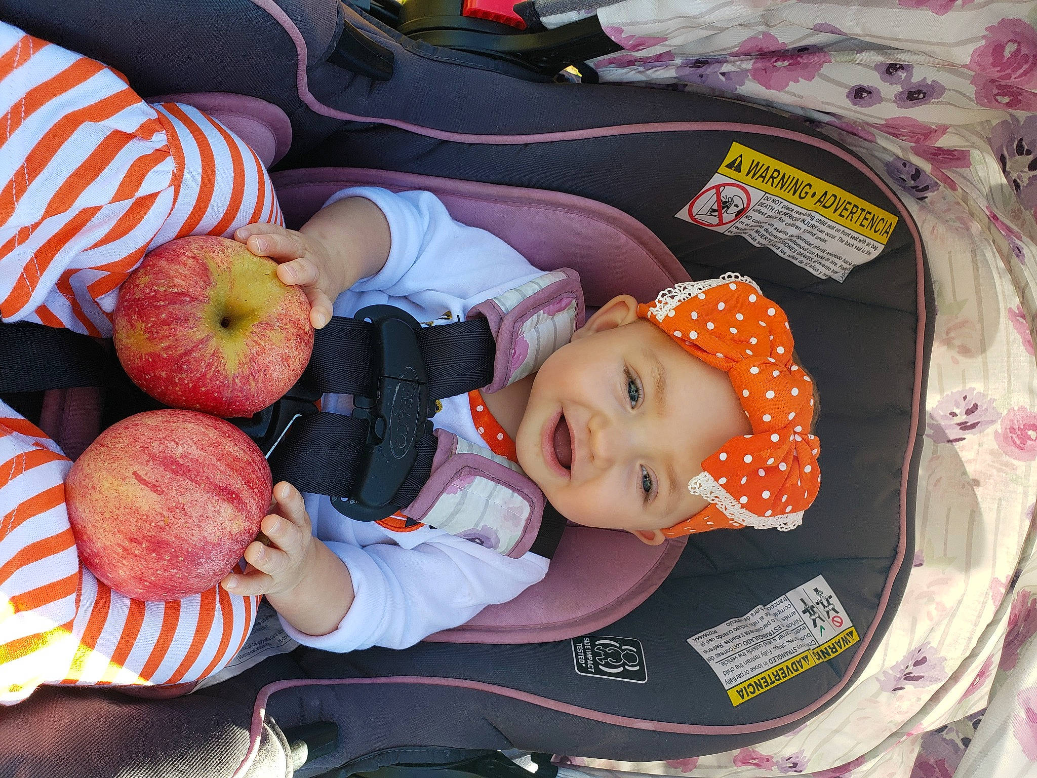 Kayliana joined the competition — help win amazing prizes! apple, baby, baby_carriage, baby_products, baby_toddler_clothing, car_seat, child, comfort, food, fruit, headwear, malus, mcintosh, natural_foods, person, produce, product, rose_family, rose_order, smile