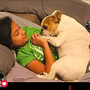 Bella joined the competition — help win amazing prizes! animal, bed, blanket, comfort, cozy, cuddle, cute, dog, french_bulldog, friendship, green_shirt, holding_paws, human_animal_bond, indoor, person, pet, pillow, relaxing, sleeping_area, snuggling