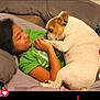 animal, bed, blanket, comfort, cozy, cuddle, cute, dog, french_bulldog, friendship, green_shirt, holding_paws, human_animal_bond, indoor, person, pet, pillow, relaxing, sleeping_area, snuggling