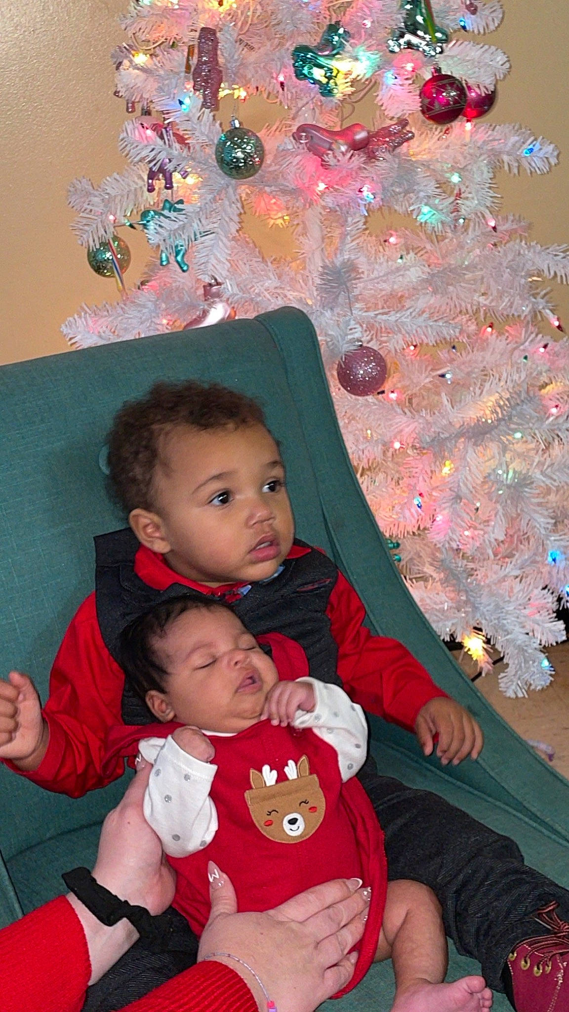 Amir joined the competition — help win amazing prizes! baby, baby_toddler_clothing, beauty, child, christmas_ornament, christmas_tree, event, facial_expression, fun, green, happy, holiday, holiday_ornament, lap, ornament, person, red, skin, snapshot, standing