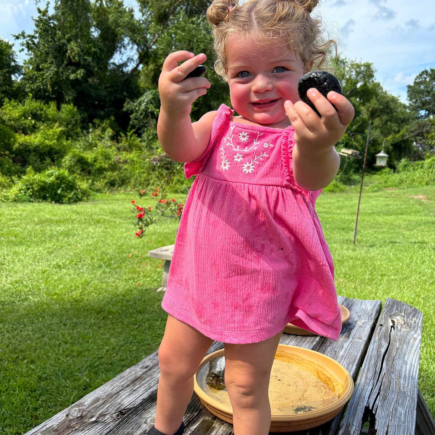 Blaire is registered to the contest to win money with this photo: child, curly_hair, girl, grass, greenery, happy, nature, outdoor, pink_dress, playful, portrait, sandals, smile, standing, stones, summer, sunlight, toddler, trees, wooden_table