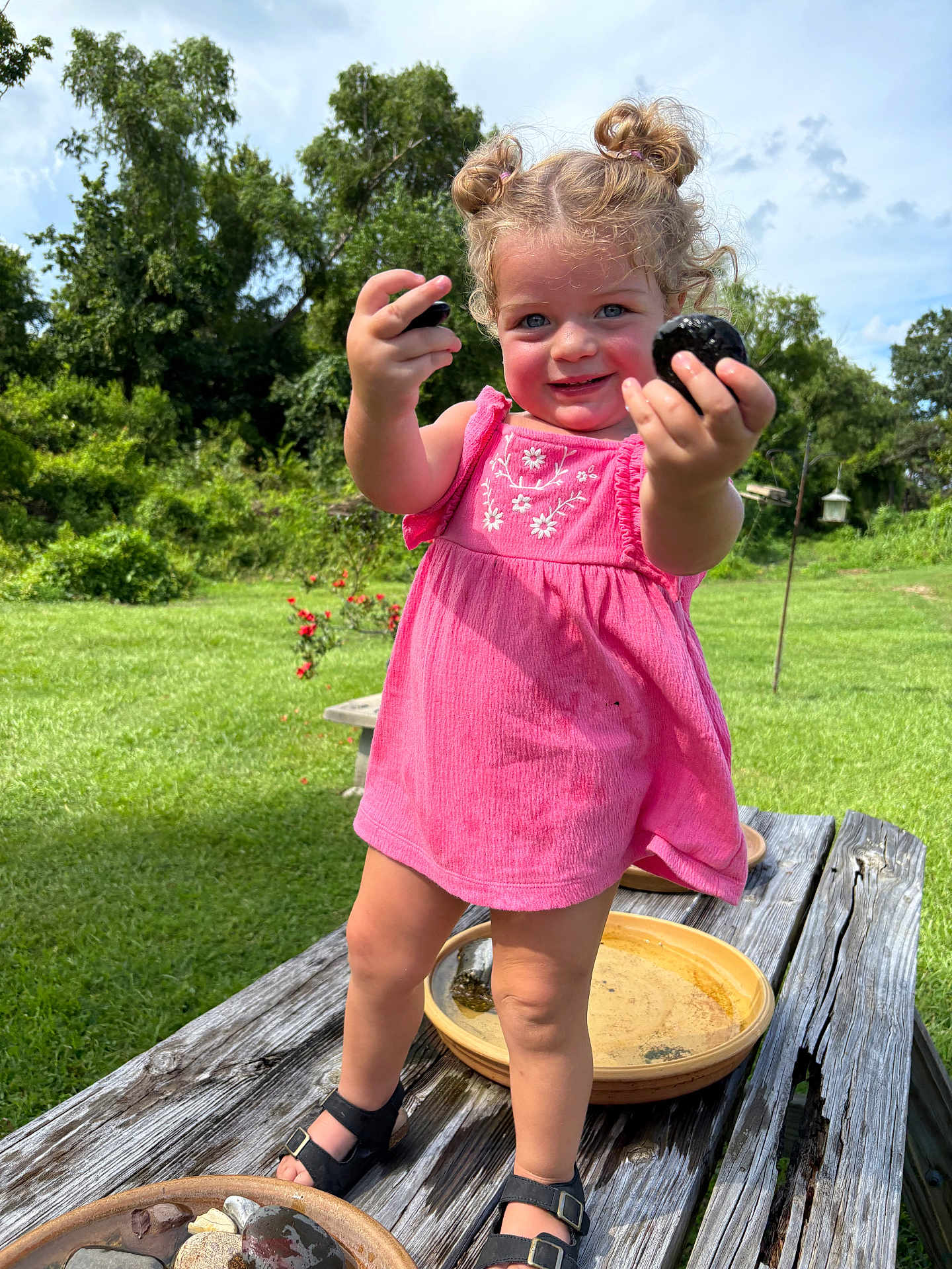 Blaire is registered to the contest to win money with this photo: toddler, child, girl, pink_dress, curly_hair, smile, outdoor, grass, trees, wooden_table, stones, sandals, sunlight, nature, playful, portrait, summer, greenery, happy, standing