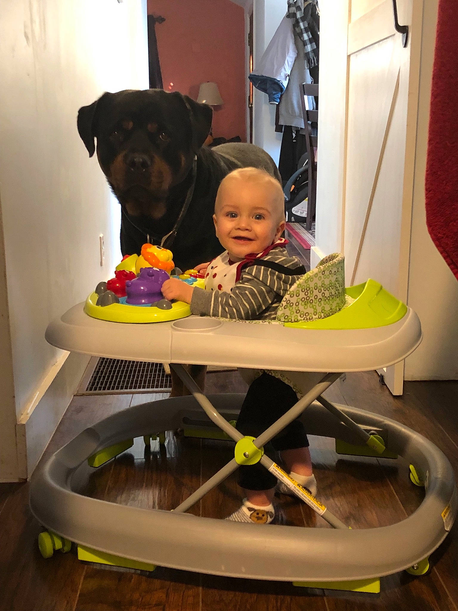 Lukas is registered to the contest to win money with this photo: baby_products, bed, carnivoran, chair, child, dog, dog_like_mammal, fun, furniture, joy, person, play, product, table, toddler, yellow