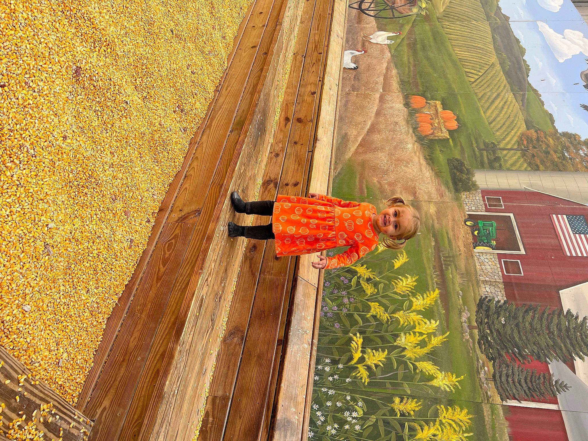 Maya is registered to the contest to win money with this photo: agriculture, air_travel, art, field, flower, fun, grass, joy, landscape, leisure, pattern, people_in_nature, person, plant, shadow, slope, soil, tints_and_shades, travel, tree