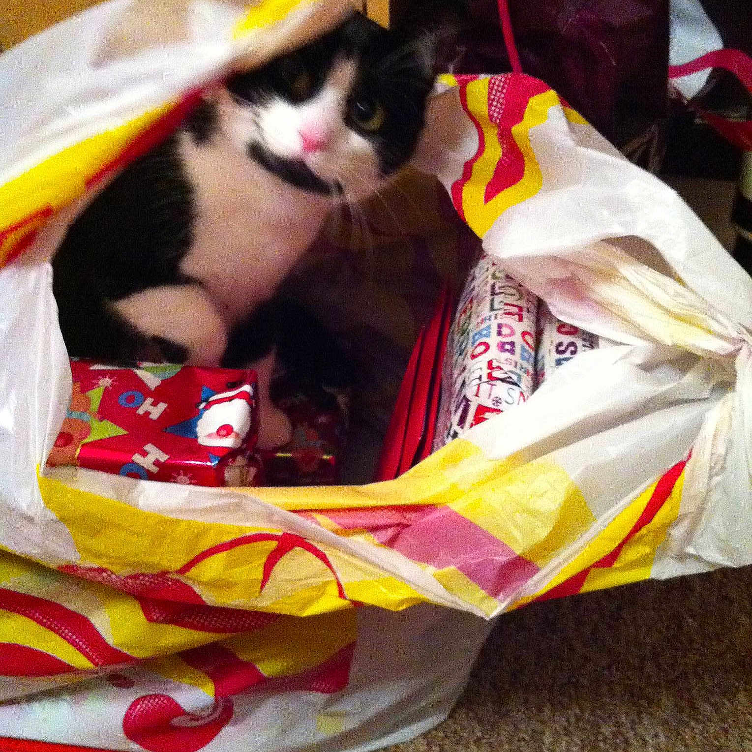 Sox joined the competition — help win amazing prizes!