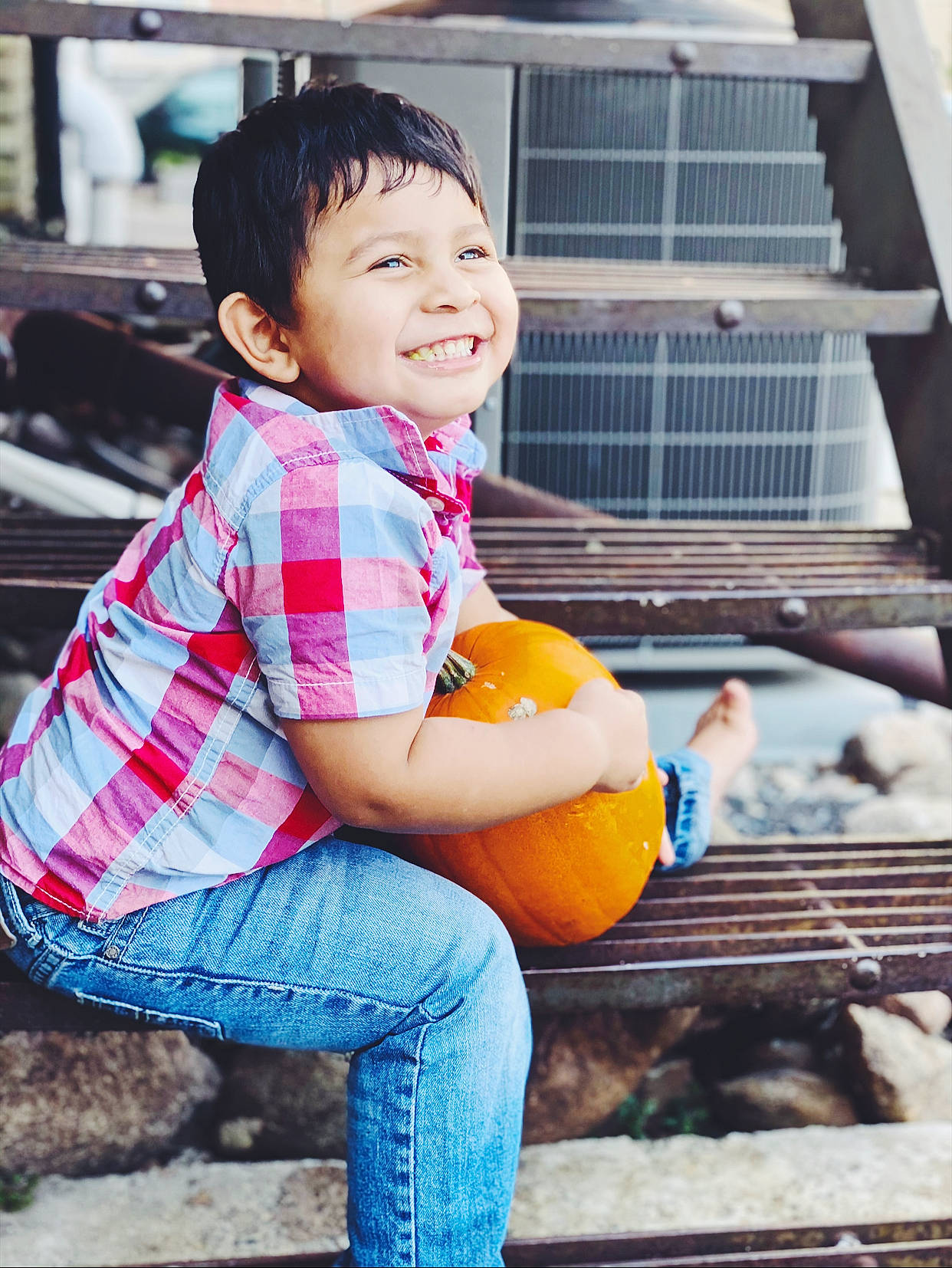Hector joined the competition — help win amazing prizes! beauty, child, denim, fruit, joy, person, plant, pumpkin, sitting, smile, toddler, yellow