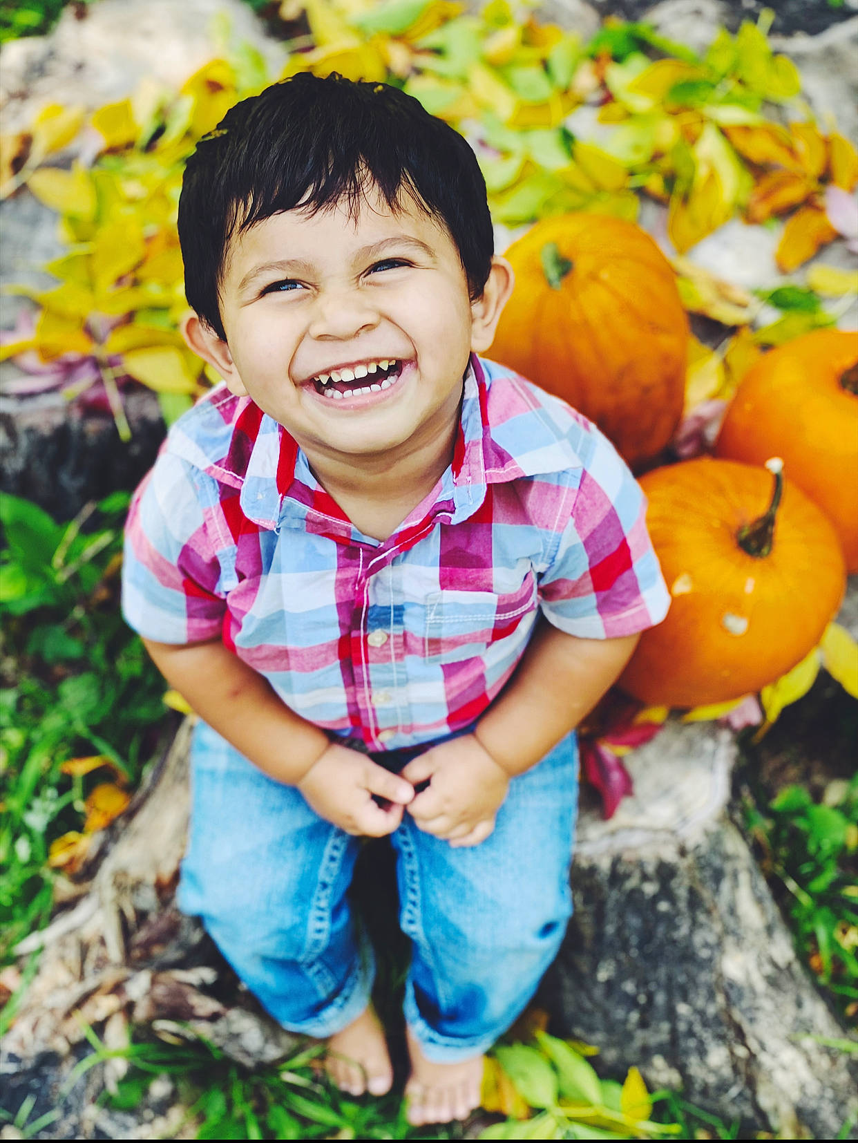 Hector is registered to the contest to win money with this photo: calabaza, cheek, child, child_model, facial_expression, fun, happy, joy, leaf, people_in_nature, person, photo_shoot, photograph, photography, plant, portrait, portrait_photography, pumpkin, smile, toddler