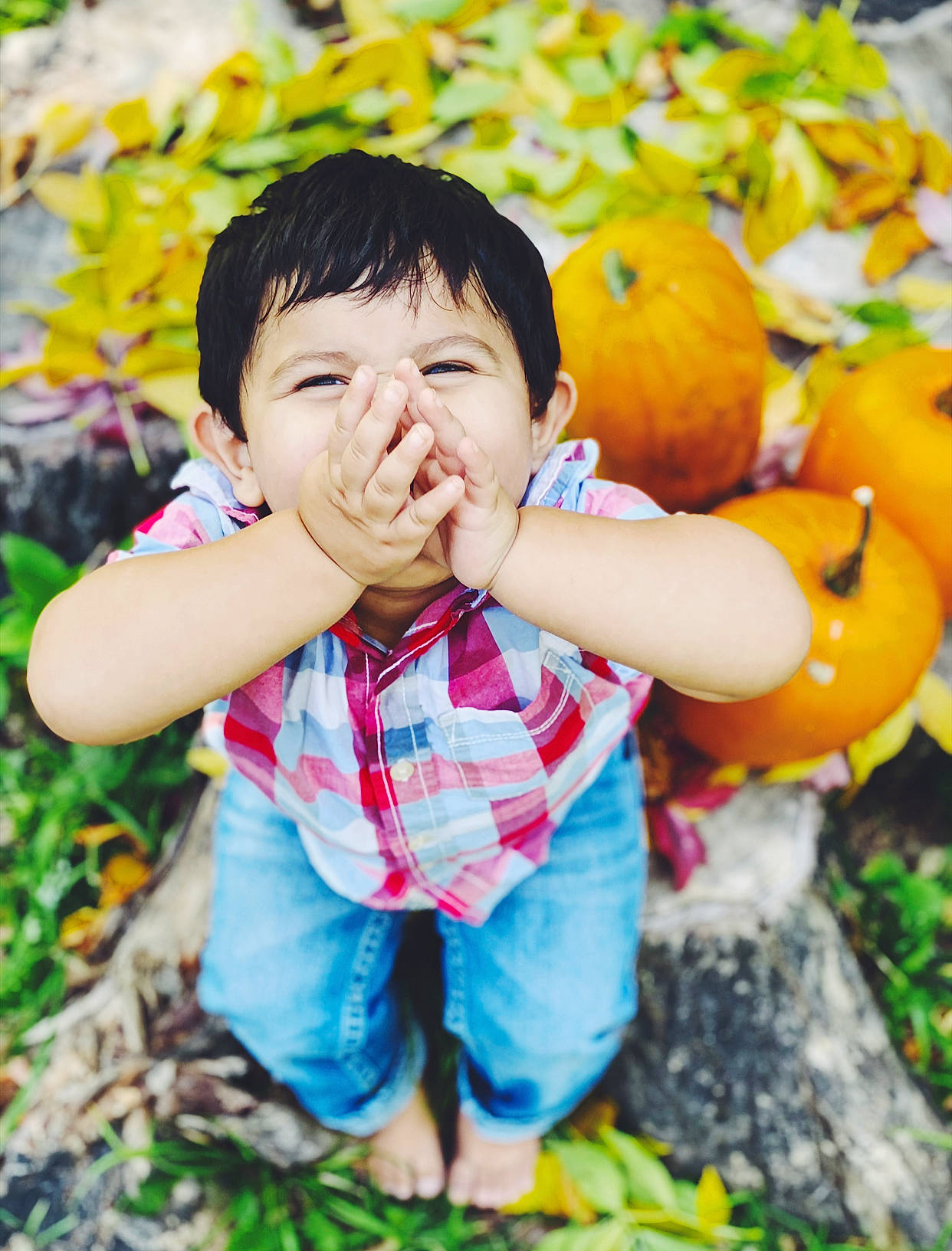 Hector joined the competition — help win amazing prizes! autumn, baby, beauty, cheek, child, fruit, fun, grass, happy, leaf, people_in_nature, person, photograph, photography, plant, play, pumpkin, smile, snapshot, toddler