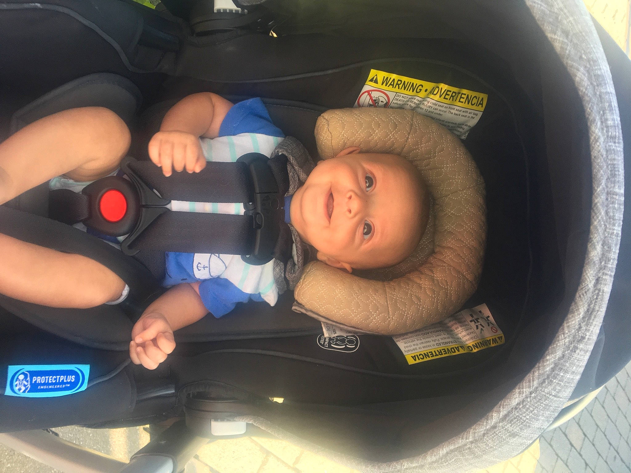 Charlie is registered to the contest to win money with this photo: auto_part, baby, baby_carriage, baby_in_car_seat, baby_products, baby_safety, baby_toddler_clothing, car_seat, child, comfort, electric_blue, family_car, fun, hat, person, personal_protective_equipment, service, sitting, smile, toddler