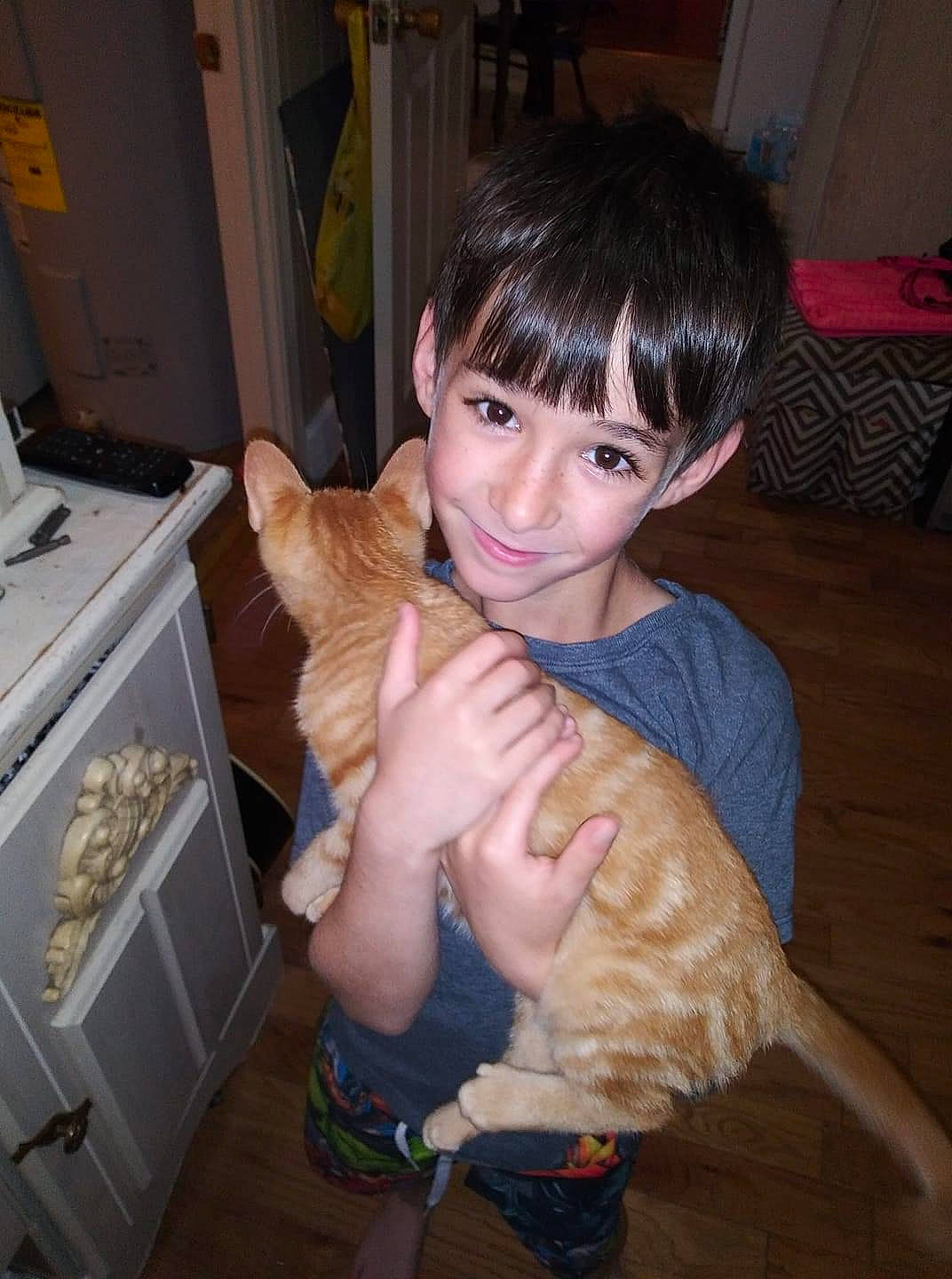 Ryder joined the competition — help win amazing prizes! carnivore, cat, companion_dog, dog_breed, ear, eye, fawn, felidae, finger, fun, gesture, hand, iris, joy, lap, nose, person, skin, small_to_medium_sized_cats, thumb