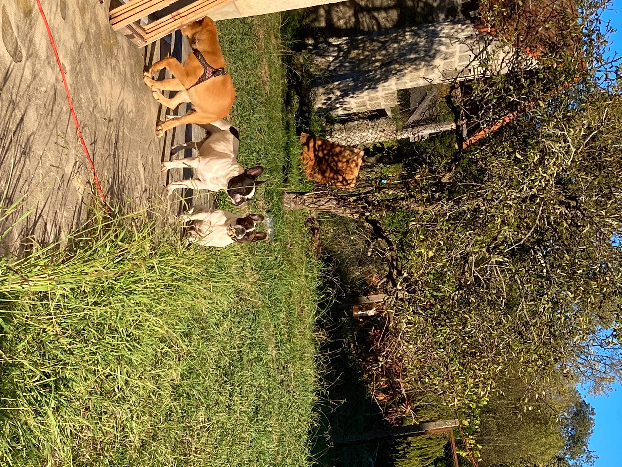 Tania a rejoint le concours — aidez-le/la à gagner de superbes lots ! branch, facade, grass, groundcover, house, landscape, pattern, plant, reflection, shadow, shrub, sky, soil, tints_and_shades, tree, trunk, twig, urban_design, water, wood