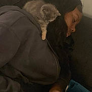 Muffin is registered to the contest to win money with this photo: person, kitten, sleeping, couch, indoor, resting, cozy, shoulder, black_hair, casual_clothing, nap, furry_pet, domestic_animal, relaxation, soft_lighting, closeup, quiet, warm, companion, calm