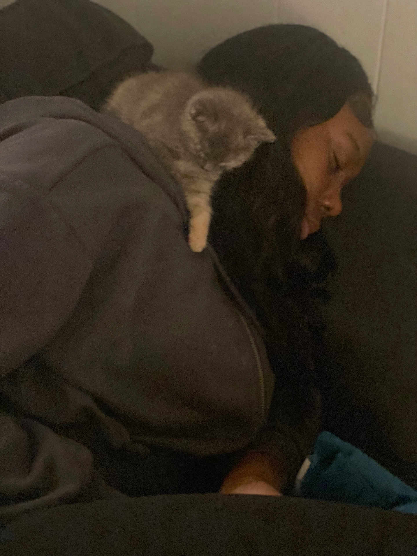 Muffin is registered to the contest to win money with this photo: person, kitten, sleeping, couch, indoor, resting, cozy, shoulder, black_hair, casual_clothing, nap, furry_pet, domestic_animal, relaxation, soft_lighting, closeup, quiet, warm, companion, calm