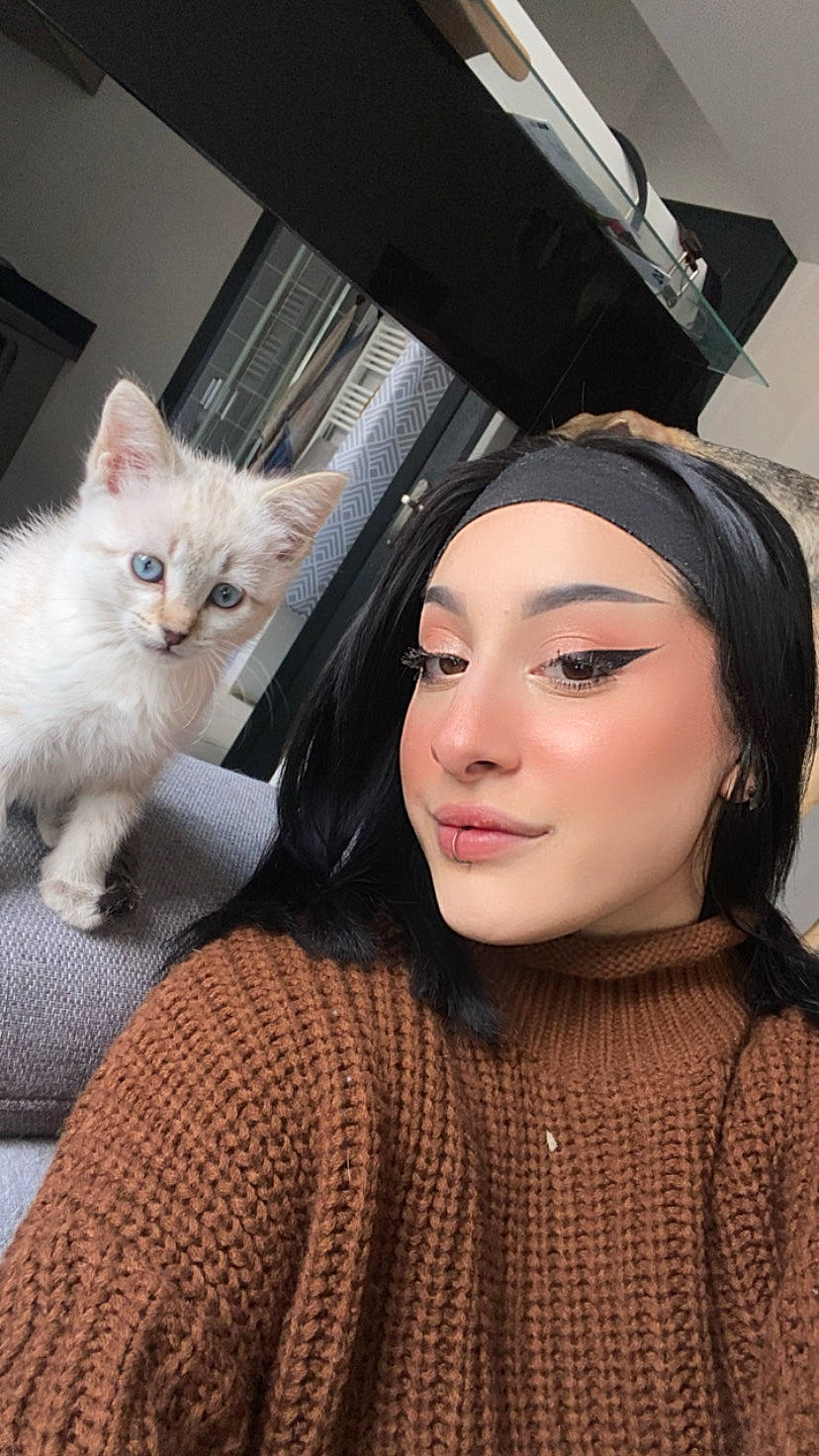 Muse a rejoint le concours — aidez-le/la à gagner de superbes lots ! bangs, carnivore, cat, domestic_short_haired_cat, eyelash, fashion_accessory, fashion_design, fawn, felidae, fur, hairstyle, makeover, pattern, paw, small_to_medium_sized_cats, tail, whiskers, white, wool, woolen