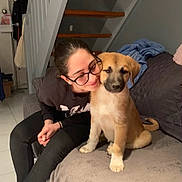 Tyson participe au concours pour gagner de l'argent avec cette photo : woman, glasses, puppy, dog, couch, stairs, indoor, home, smile, black_clothing, brown_dog, pet, affection, seated, blanket, floor, casual, relaxed, human, furniture