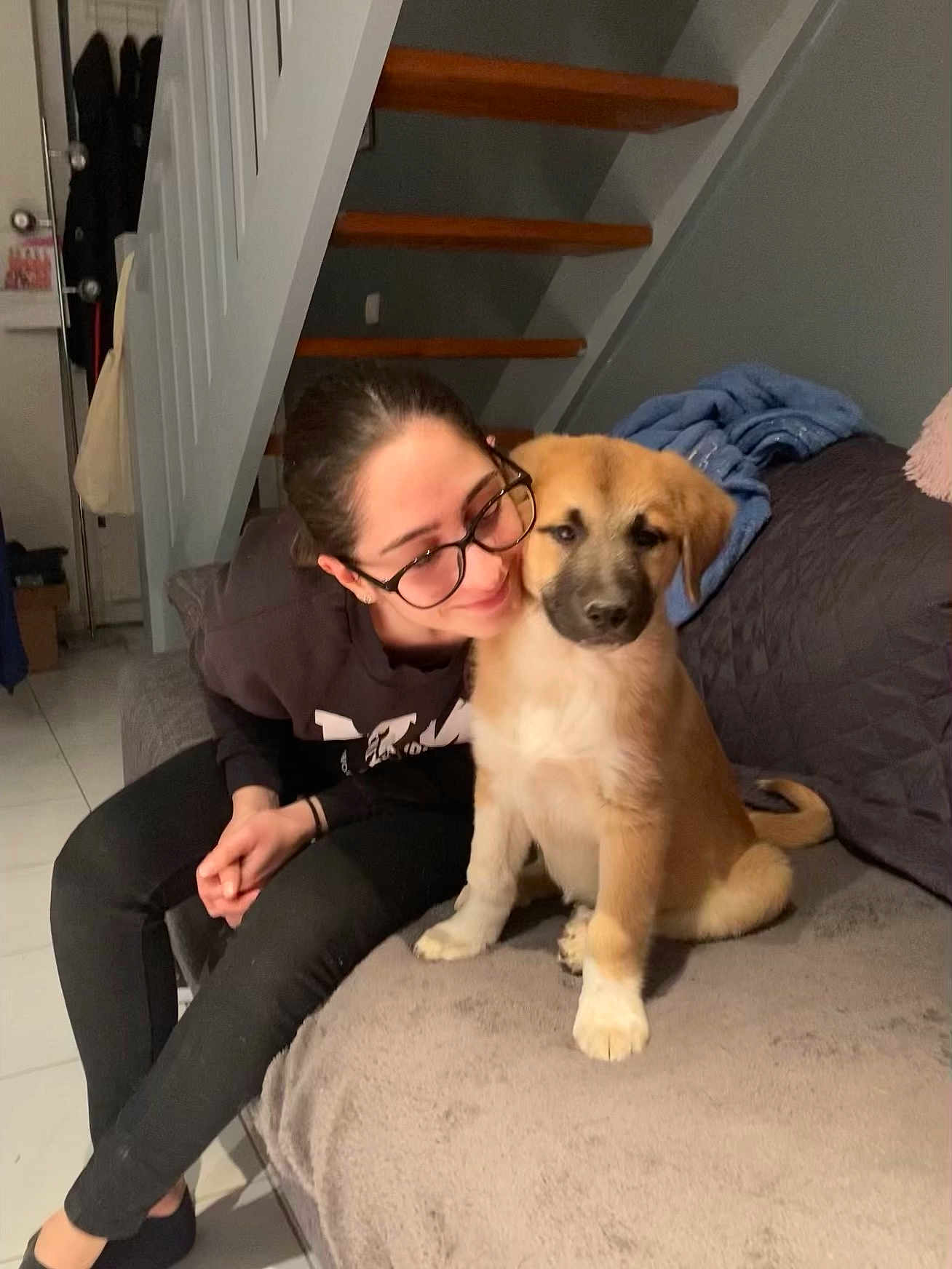 Tyson participe au concours pour gagner de l'argent avec cette photo : woman, glasses, puppy, dog, couch, stairs, indoor, home, smile, black_clothing, brown_dog, pet, affection, seated, blanket, floor, casual, relaxed, human, furniture
