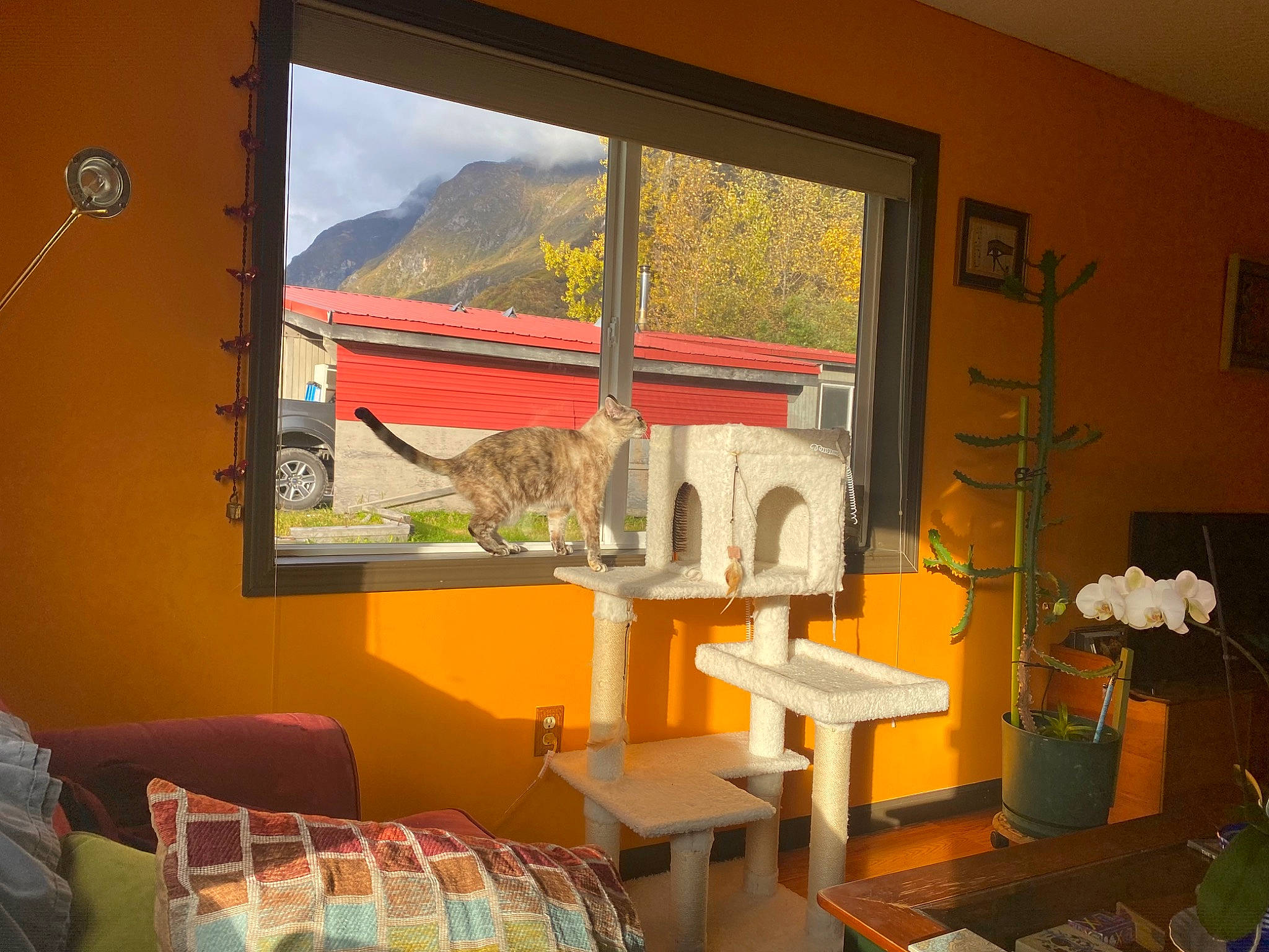 Anara is registered to the contest to win money with this photo: art, building, comfort, couch, furniture, houseplant, interior_design, living_room, orange, paint, picture_frame, plant, property, real_estate, shade, table, textile, wall, window, wood