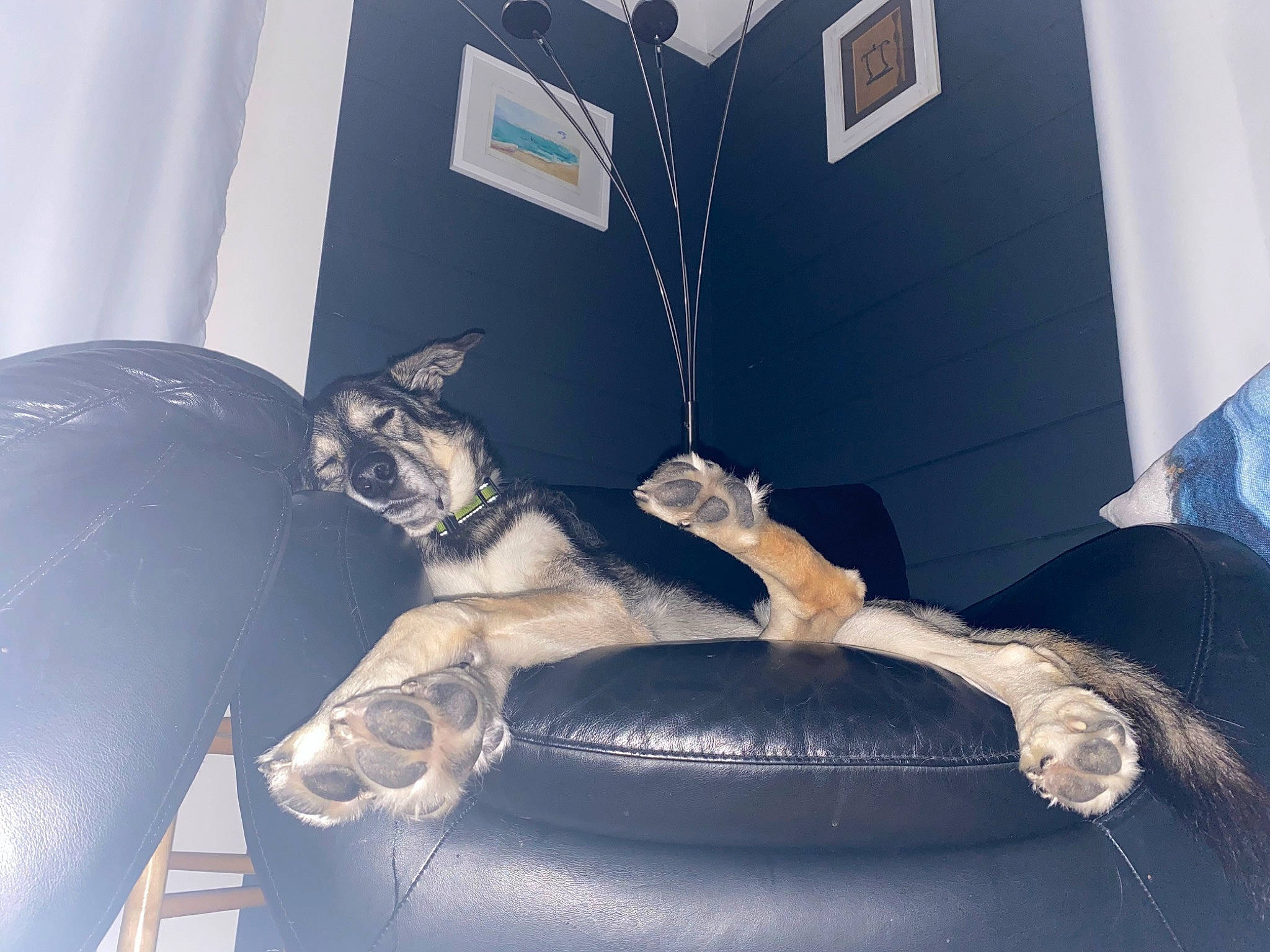 Summit is registered to the contest to win money with this photo: auto_part, automotive_design, automotive_exterior, automotive_lighting, automotive_tire, automotive_wheel_system, bumper, car_seat, car_seat_cover, carnivore, comfort, couch, fashion_accessory, hood, human_leg, metal, motor_vehicle, personal_luxury_car, trunk, vehicle_door