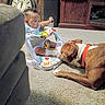 Baylor joined the competition — help win amazing prizes! activity_walker, baby, cabinet, carpet, clock, colorful, couch, curious, dog, family, furniture, home, indoor, infant, living_room, pet, portrait, reaching, sitting, toy