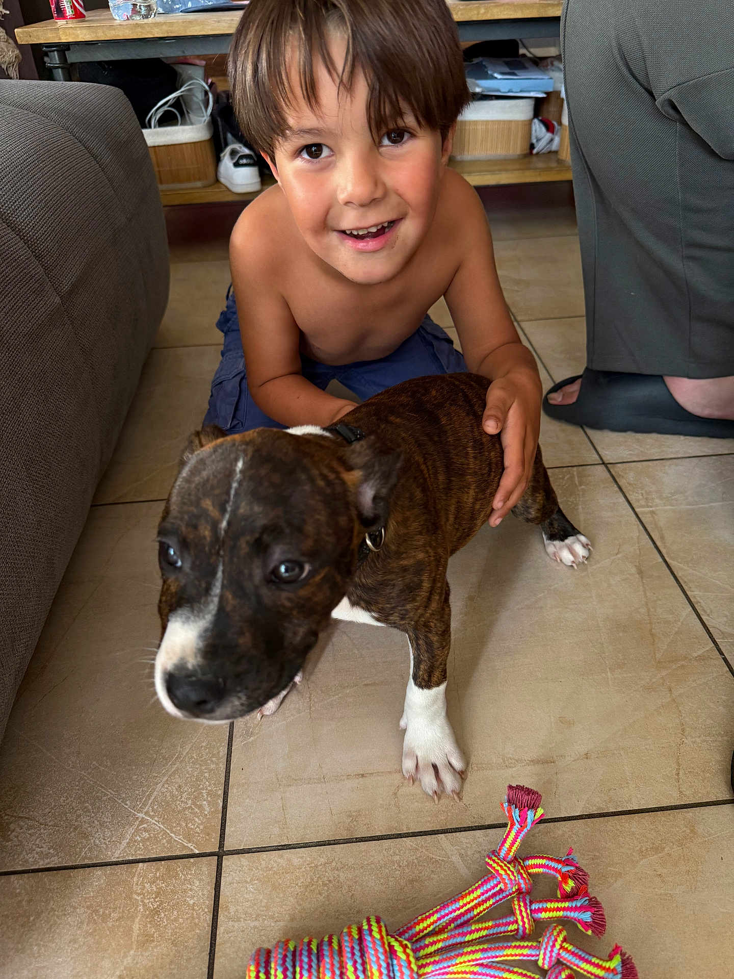 Mao a rejoint le concours — aidez-le/la à gagner de superbes lots ! boy, child, smiling, puppy, dog, brindle, indoor, floor, tile, toy, rope_toy, home, furniture, bare_chest, shorts, person, pet, playing, happy, casual