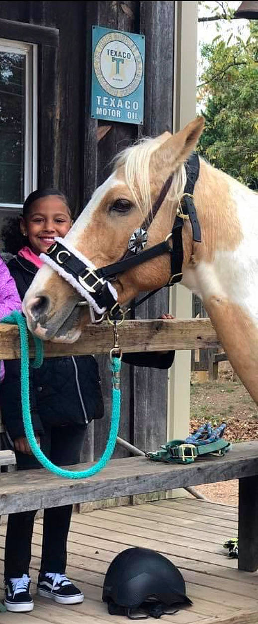 Dalzaya joined the competition — help win amazing prizes! adaptation, bridle, fawn, horse, horse_supplies, horse_tack, joy, landscape, liver, livestock, neck, organism, pack_animal, person, plant, rein, smile, snout, street_fashion, tree