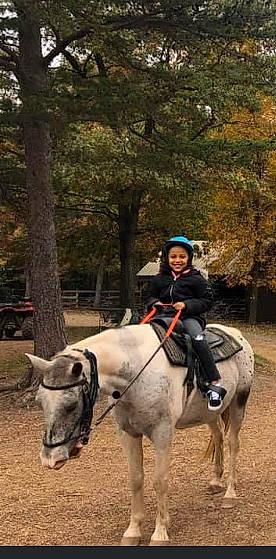 Dalzaya joined the competition — help win amazing prizes! bit, bridle, english_riding, equestrian_helmet, equestrian_sport, equestrianism, headwear, helmet, horse, horse_supplies, horse_tack, joy, landscape, mane, pack_animal, person, plant, recreation, rein, riding_boot