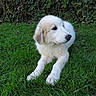 Lady participe au concours pour gagner de l'argent avec cette photo :