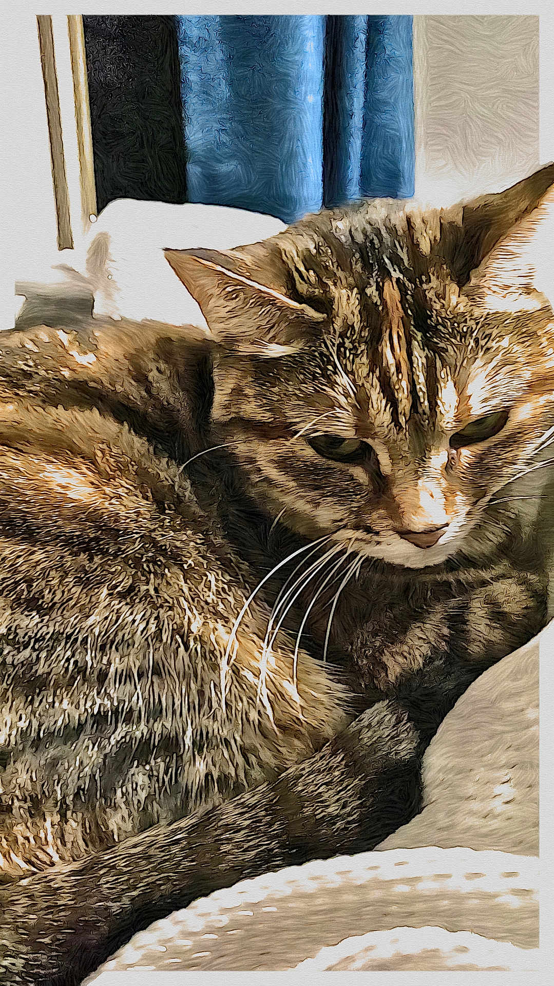 Nini a rejoint le concours — aidez-le/la à gagner de superbes lots ! cat, tabby, close_up, lounging, feline, fur, whiskers, relaxed, indoor, cozy, curtains, soft_surface, striped, animal, pet, resting, portrait, texture, warm_lighting, home