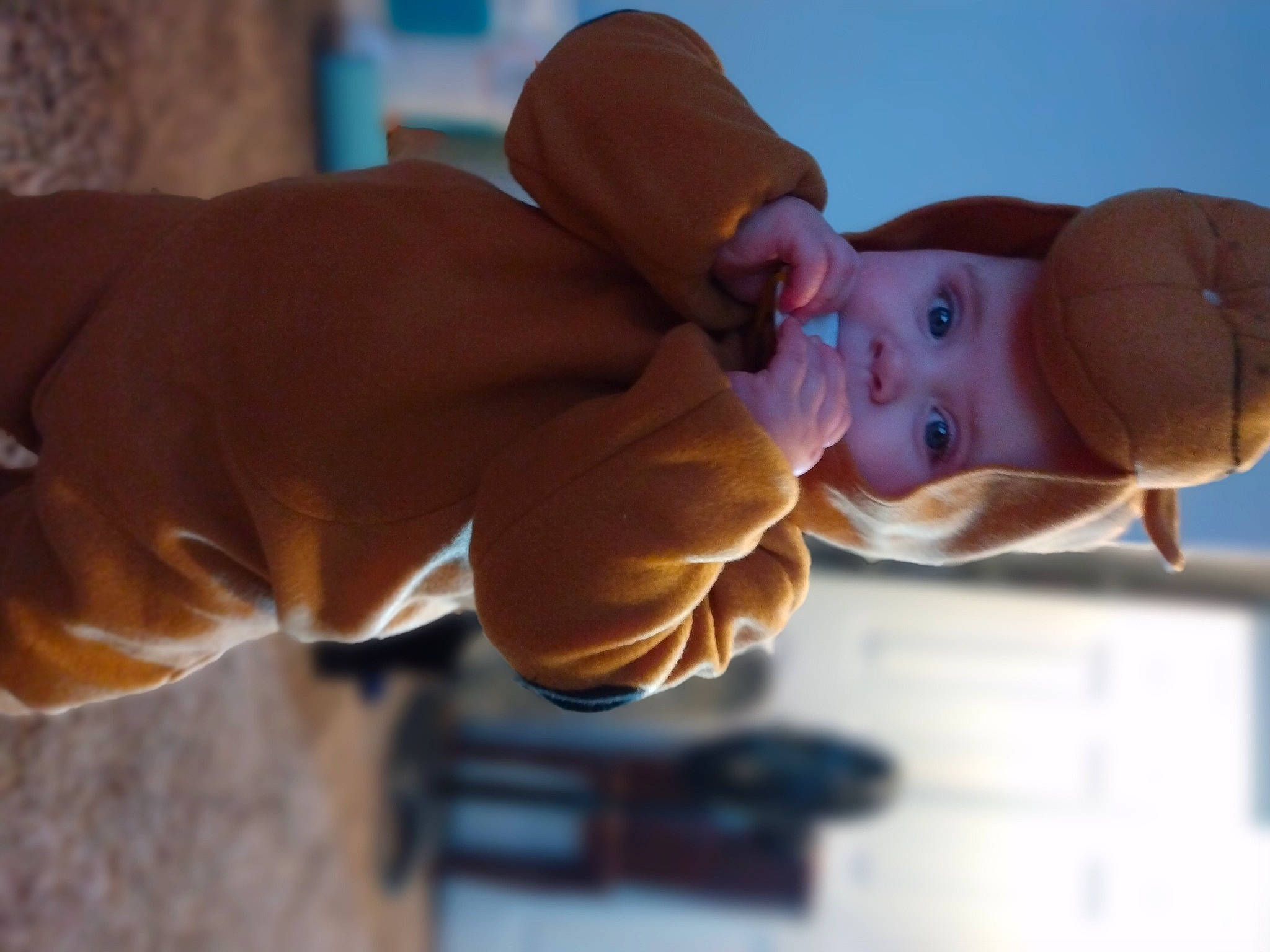 Astrid is registered to the contest to win money with this photo: baby, baby_toddler_clothing, cap, child, comfort, elbow, finger, fun, gesture, happy, hat, headgear, nail, nose, person, skin, thumb, toddler, window, wood