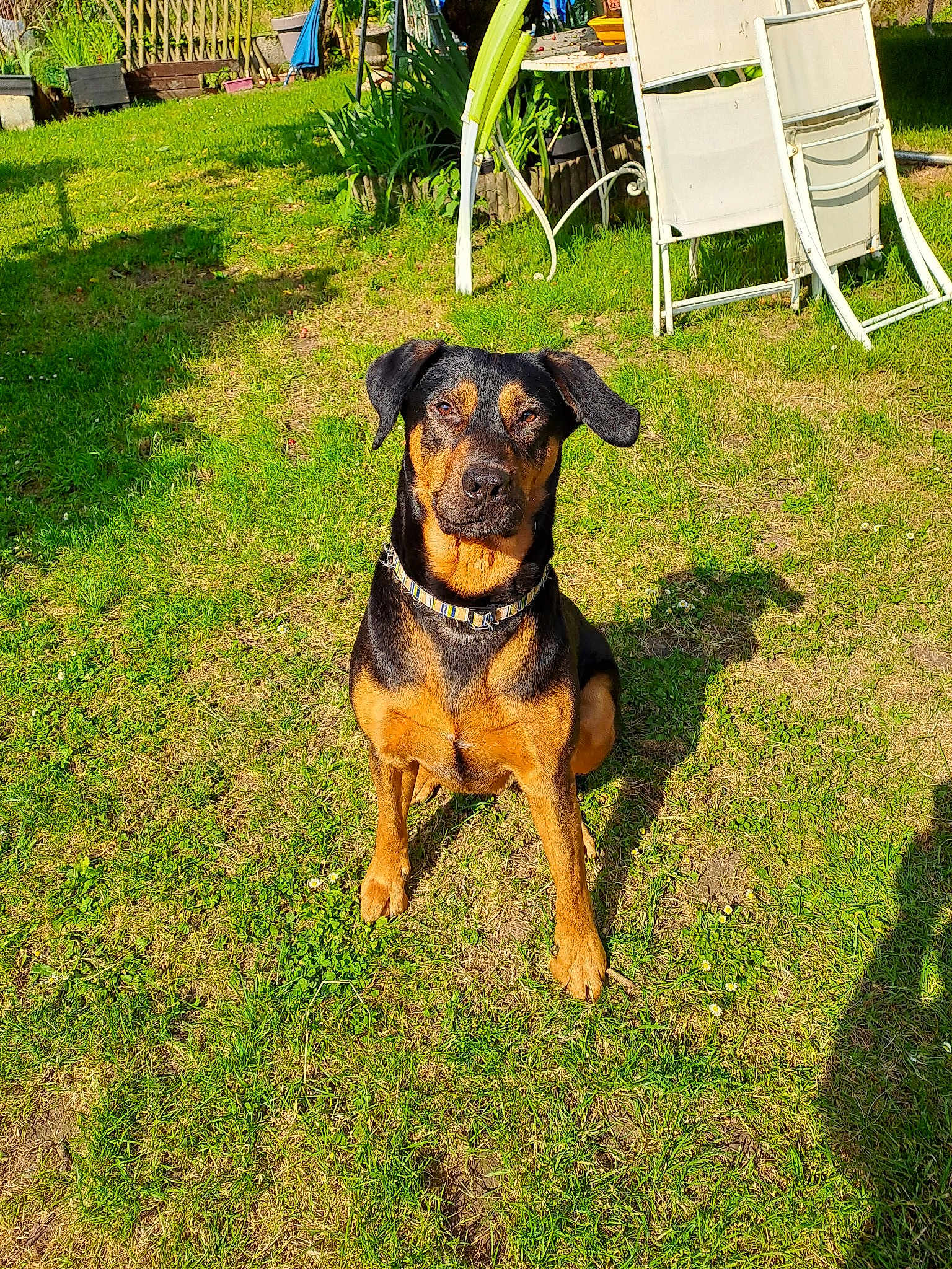 Zeus