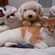 Imovane participe au concours pour gagner de l'argent avec cette photo :