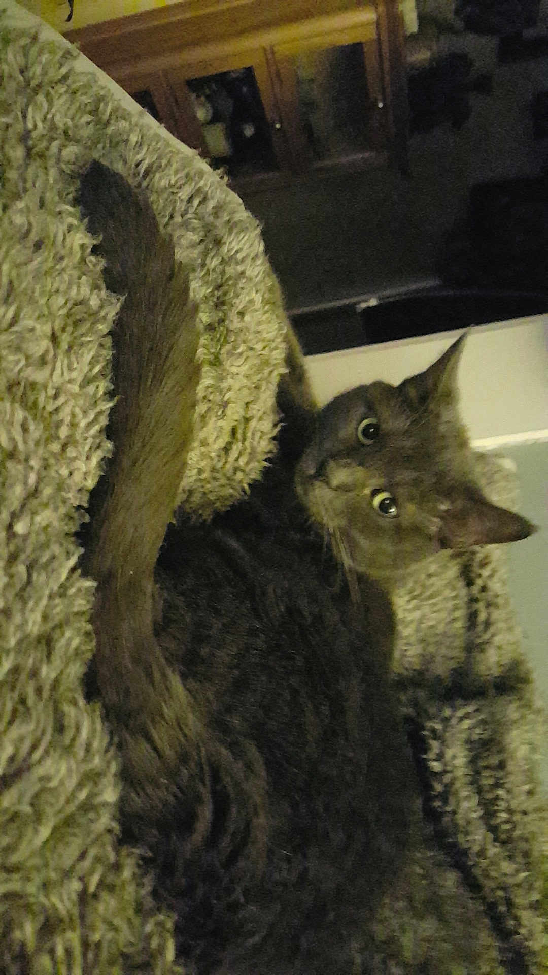 Athena