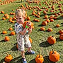 child, boy, pumpkin, pumpkin_patch, outdoor, grass, autumn, sunlight, shorts, tshirt, sneakers, green_wristband, people, background, daylight, field, nature, harvest, fall, young_child