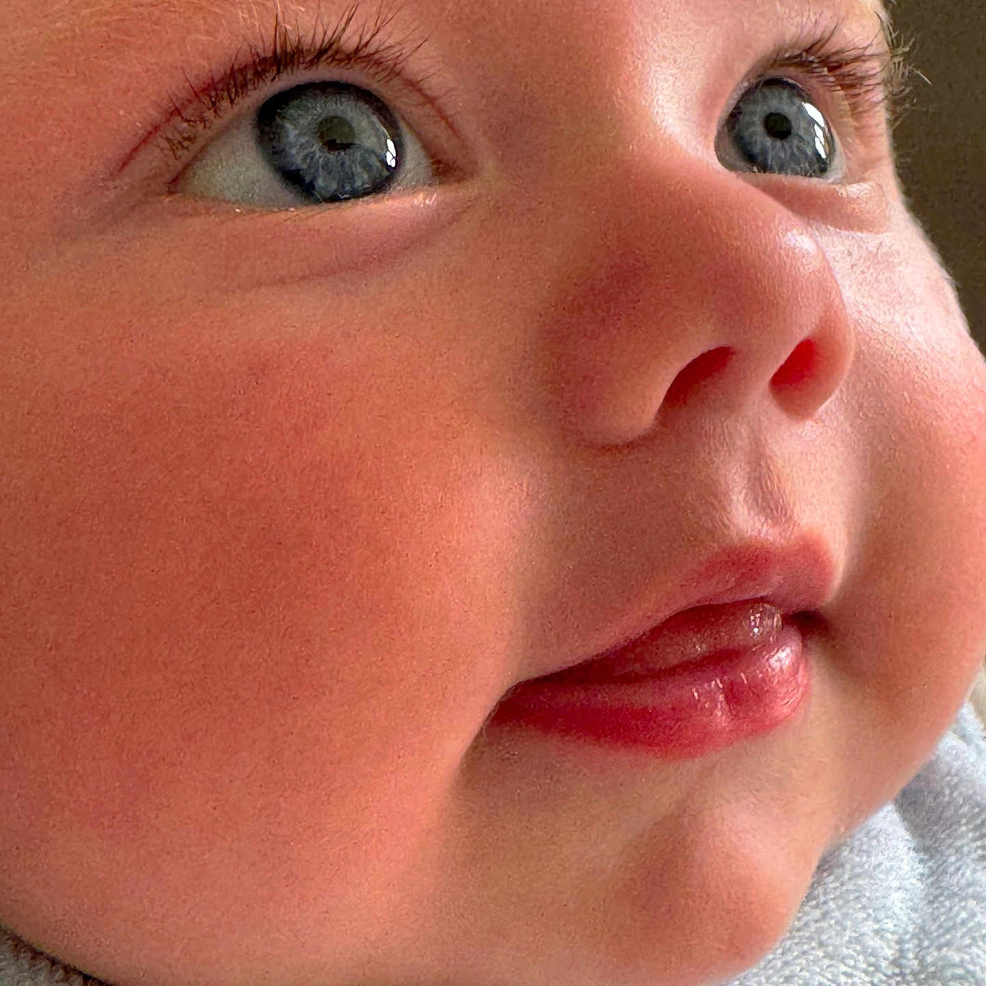 Franklyn is registered to the contest to win money with this photo: adorable, baby, blue_eyes, cheeks, child, close_up, cute, expression, eyelashes, fabric, face, human, infant, mouth, nose, portrait, skin, soft, texture, tongue