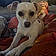 Josie