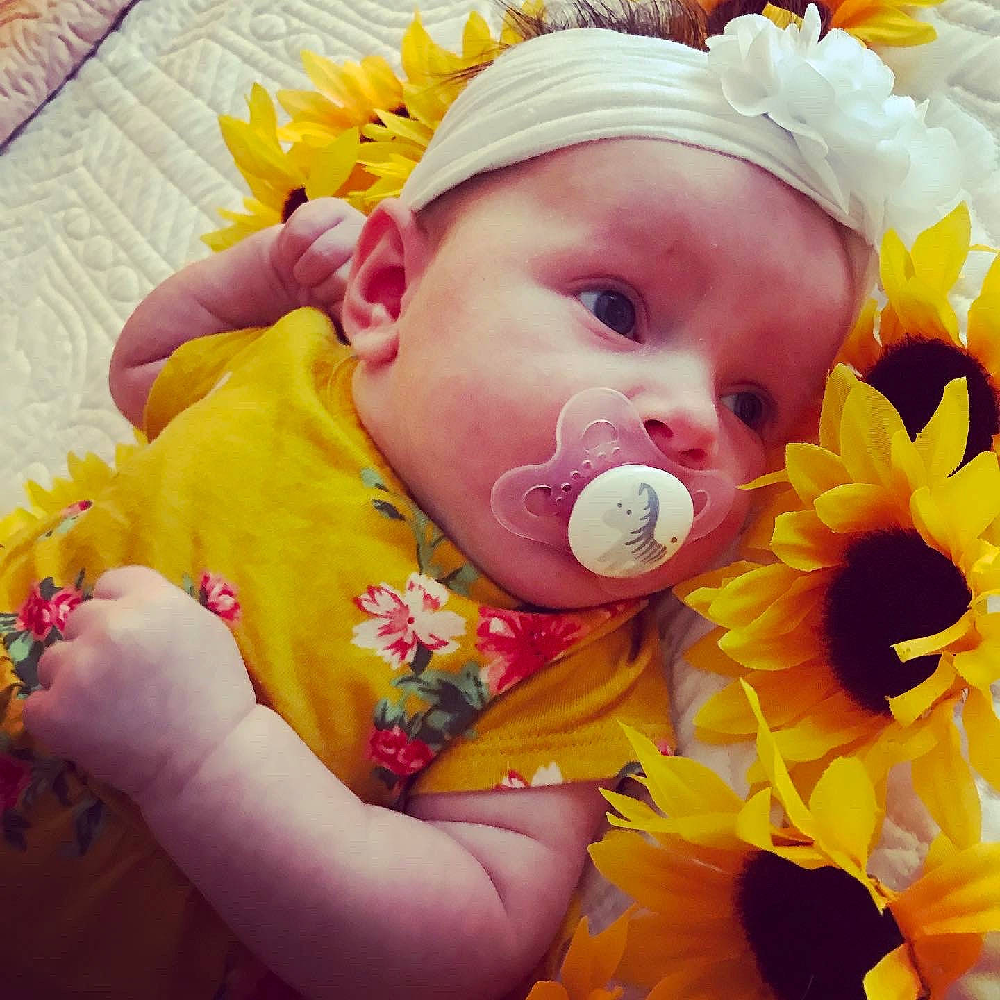 Everest is registered to the contest to win money with this photo: asterales, baby, baby_products, baby_toddler_clothing, child, cut_flowers, daisy_family, hair_accessory, headband, headpiece, linens, nail, orange, person, petal, sunflower, toddler, yellow