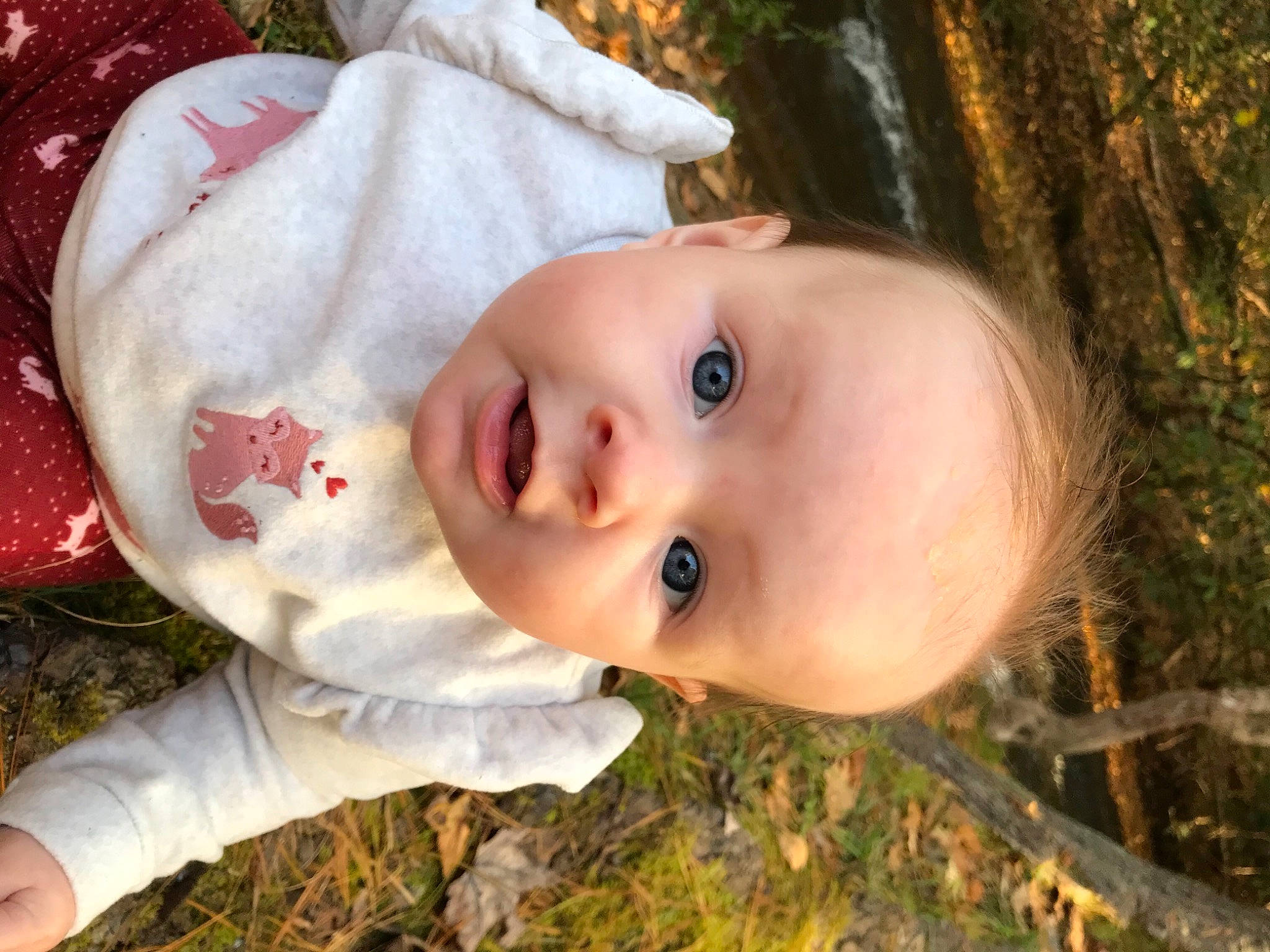 Everest is registered to the contest to win money with this photo: baby, baby_toddler_clothing, beauty, cheek, child, eye, eyebrow, forehead, happy, iris, lip, mouth, nose, people_in_nature, person, portrait_photography, skin, toddler