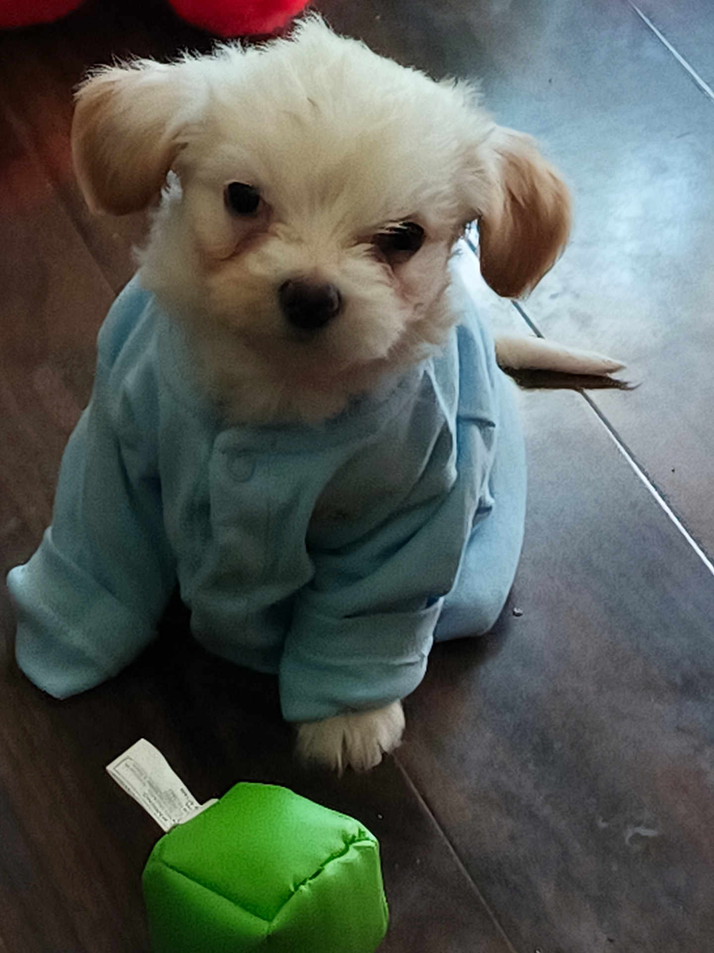 Mookie