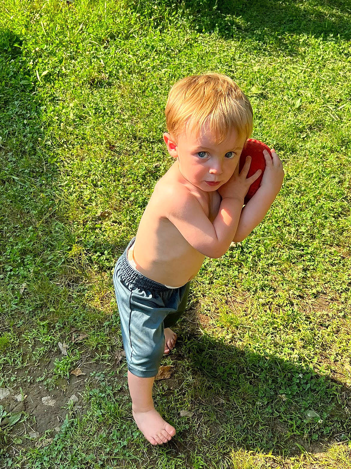 Dawson is registered to the contest to win money with this photo: baby_toddler_clothing, barefoot, calf, child, foot, fun, garden, grass, grass_family, groundcover, happy, human_leg, lawn, leisure, mammal, meadow, people_in_nature, person, plant, thigh