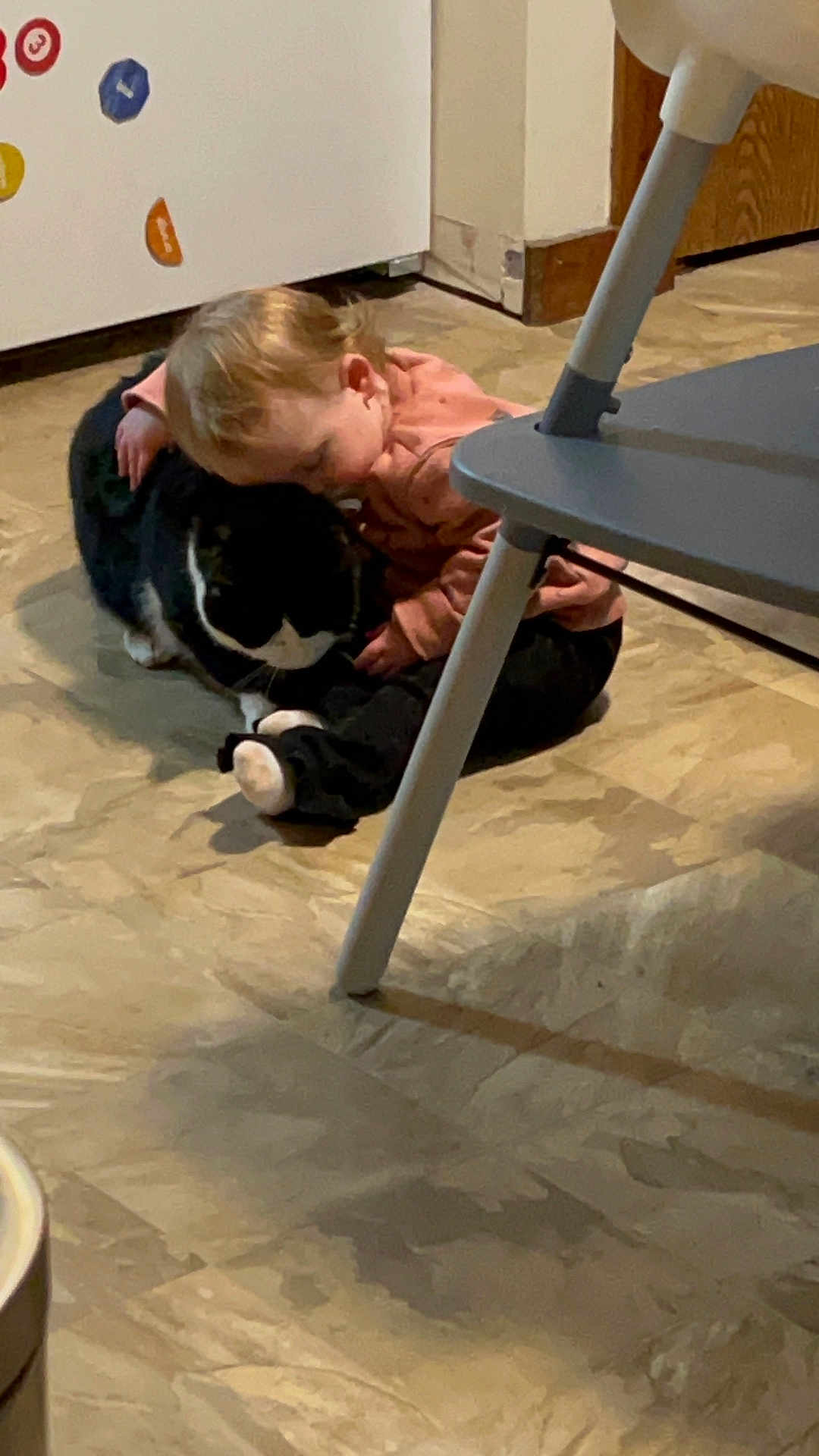 Natasha is registered to the contest to win money with this photo: child, baby, cat, floor, kitchen, affection, pacifier, pink_clothing, black_pants, indoor, home, furniture, magnet, white_appliance, toddler, animal, pet, flooring, chair_leg, cute