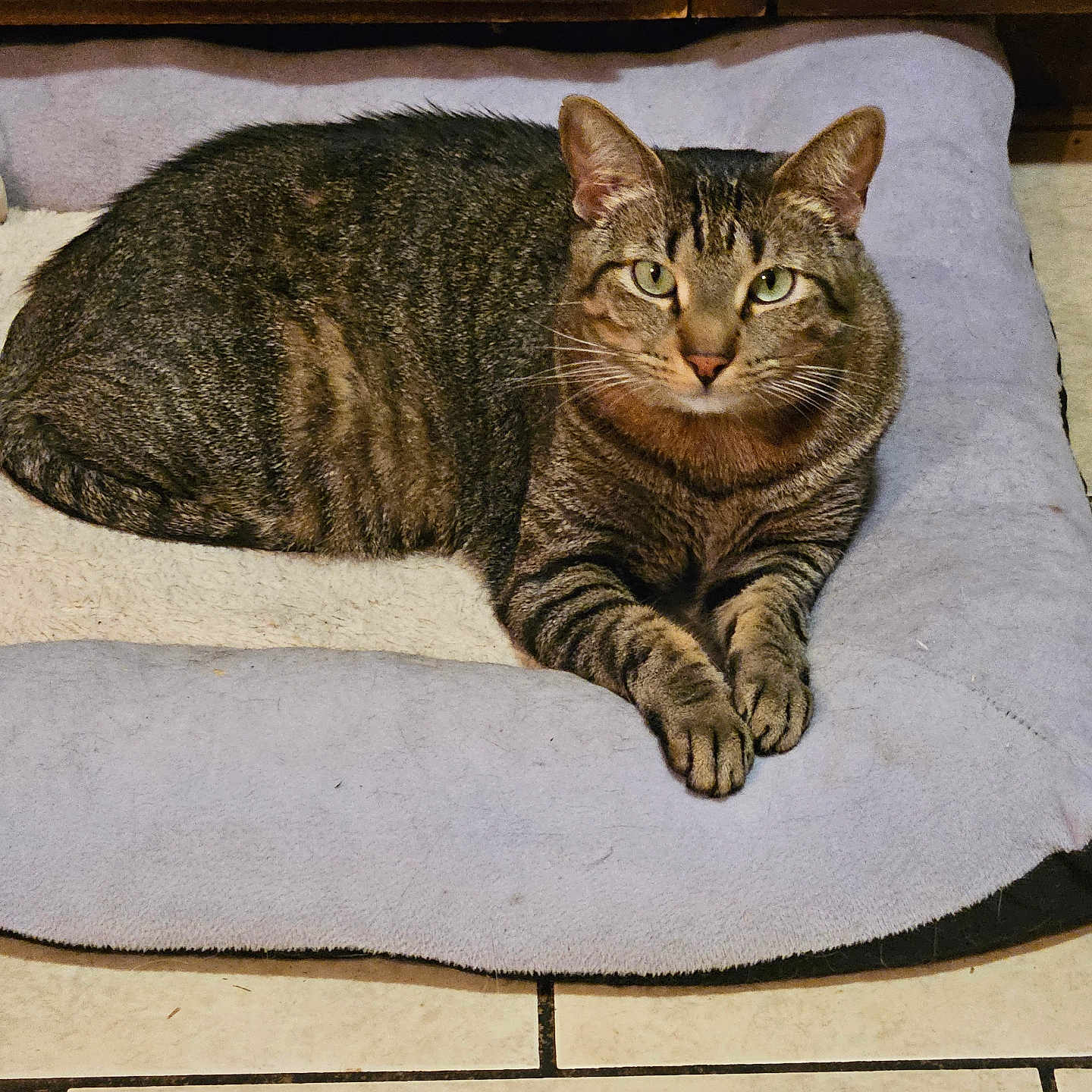 Max
